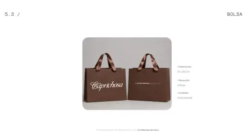 Manual de Caprichosa: bolsa